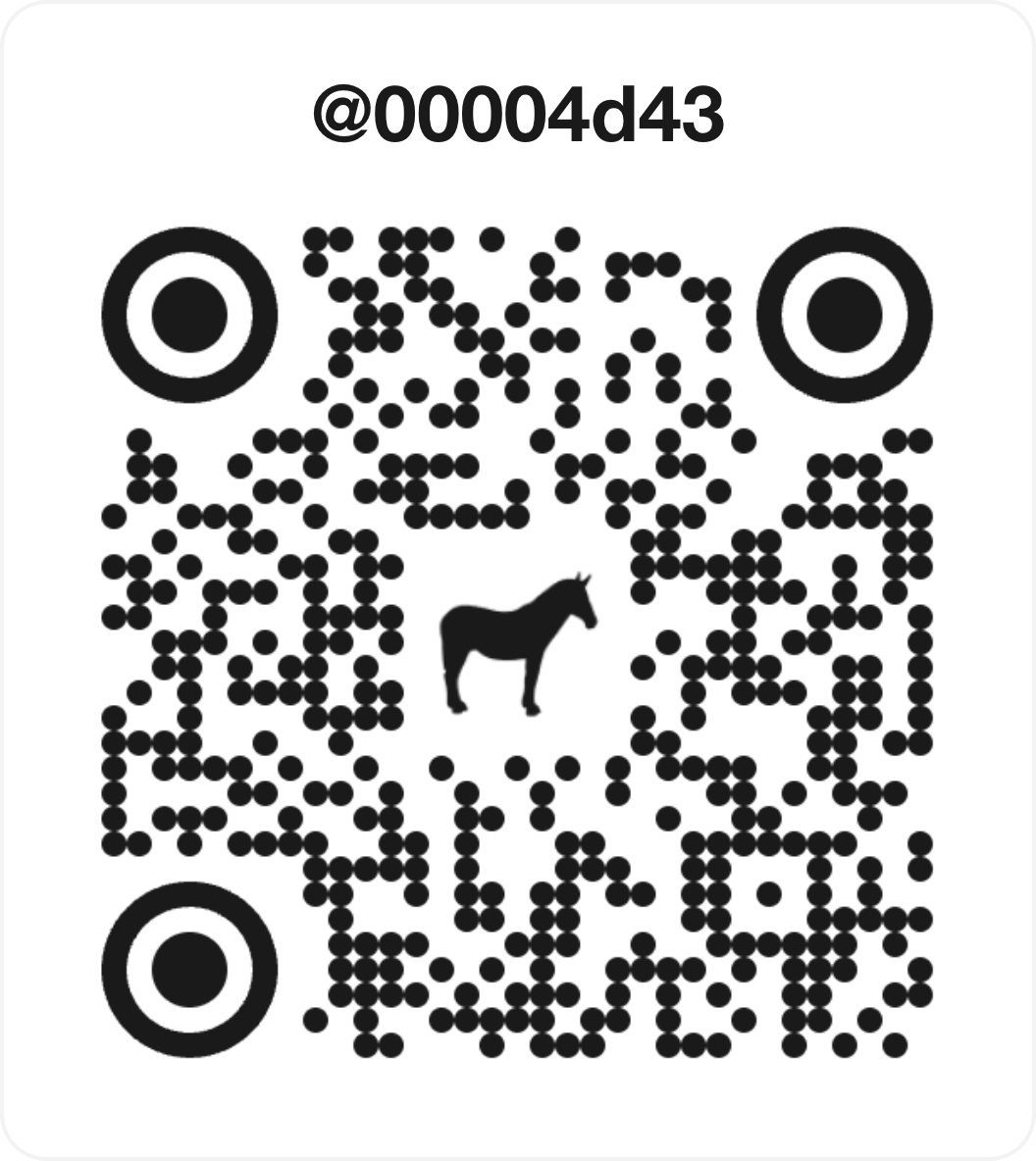 codetren.ch store front QR